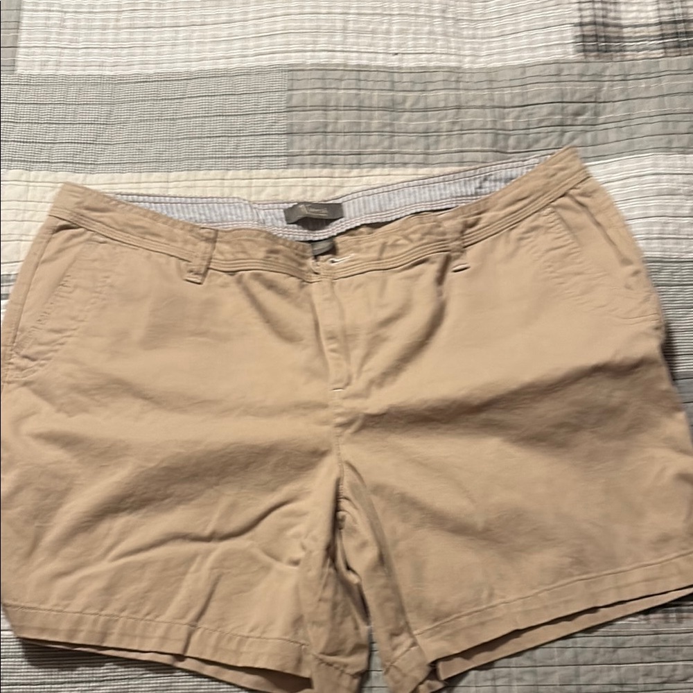 Natural Reflections Tan Shorts
